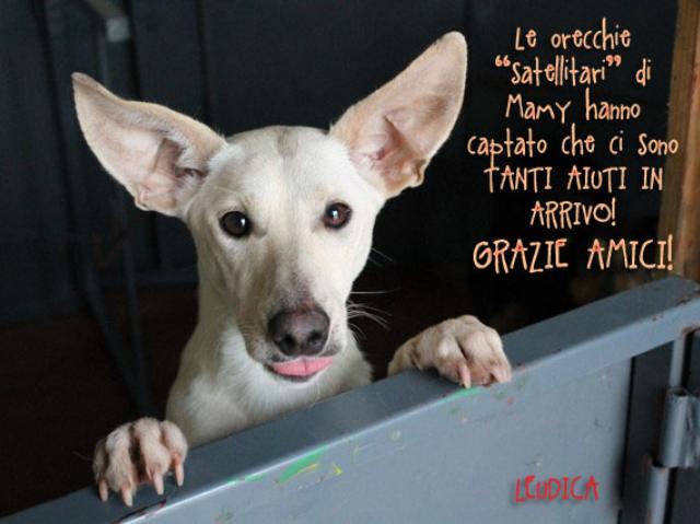 Mamy che sa che gli aiuti arrivano!